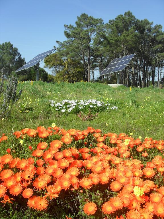 Farm stay Quinta Pero Vicente Odeceixe
