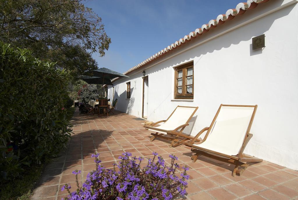 Quinta Pero Vicente Odeceixe