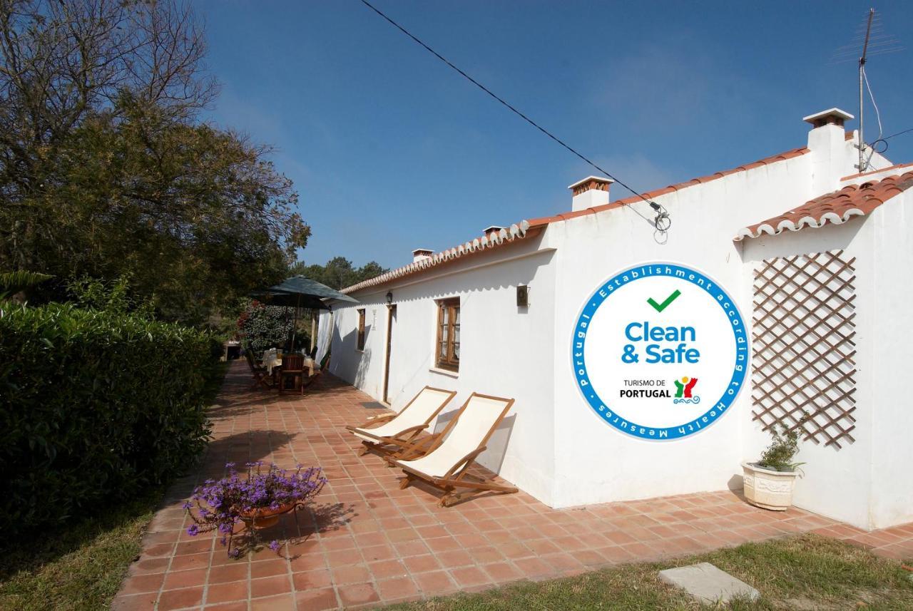 Quinta Pero Vicente Farm stay
